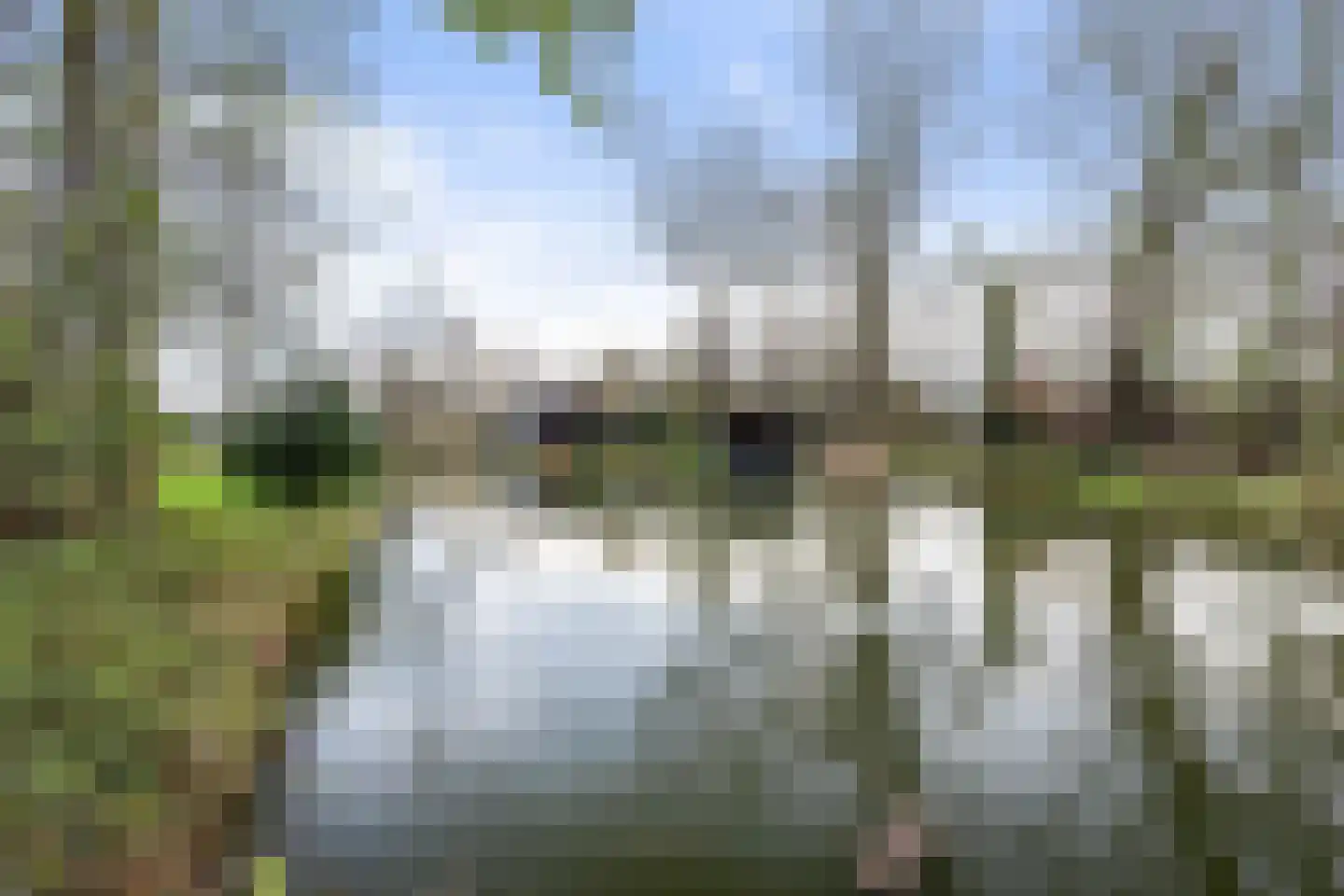 Kraaienjagersweg 16 Beemte Broekland thumbnail 67