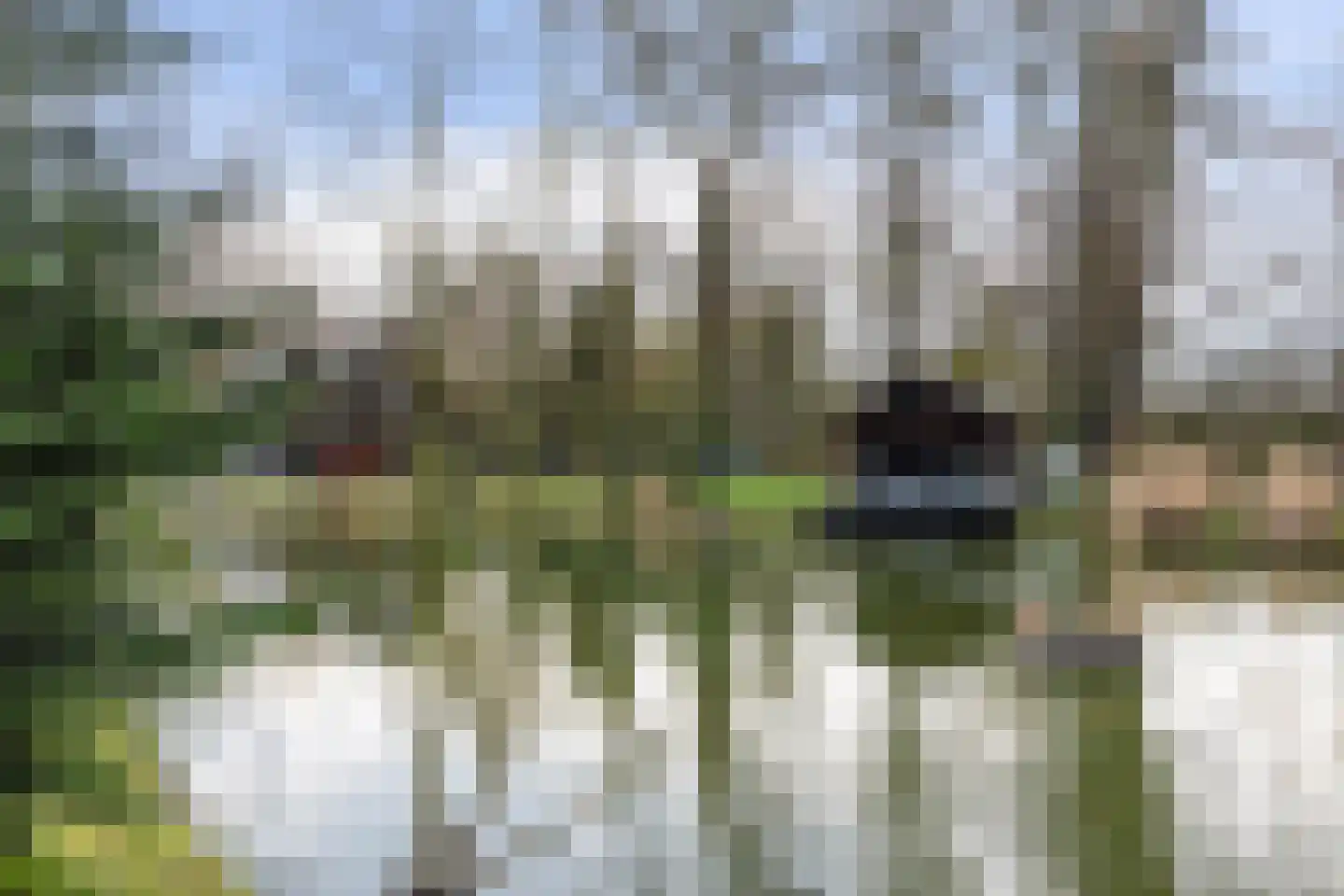 Kraaienjagersweg 16 Beemte Broekland thumbnail 68