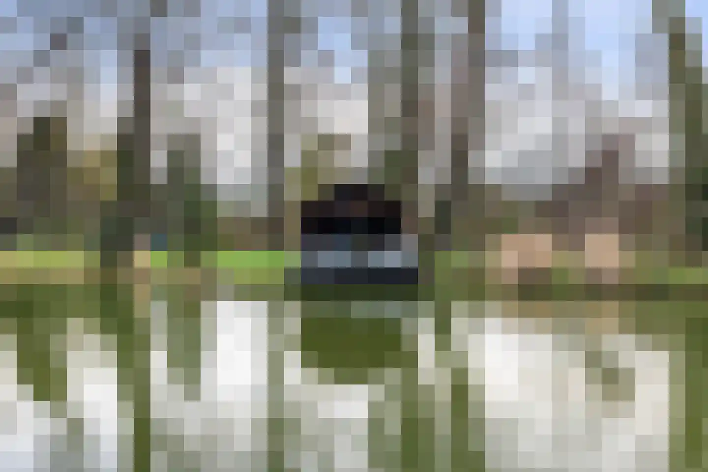 Kraaienjagersweg 16 Beemte Broekland thumbnail 69