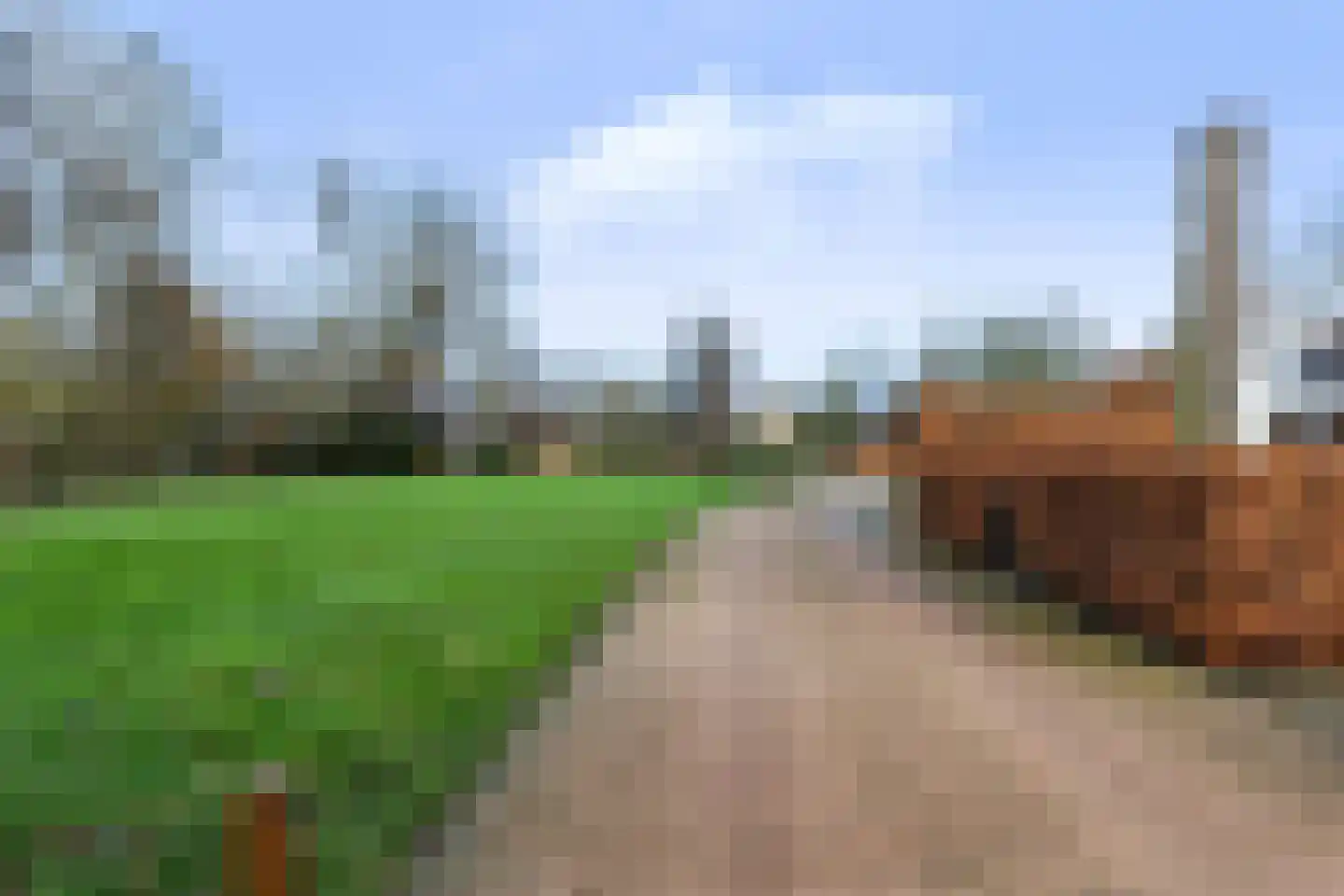 Kraaienjagersweg 16 Beemte Broekland thumbnail 78