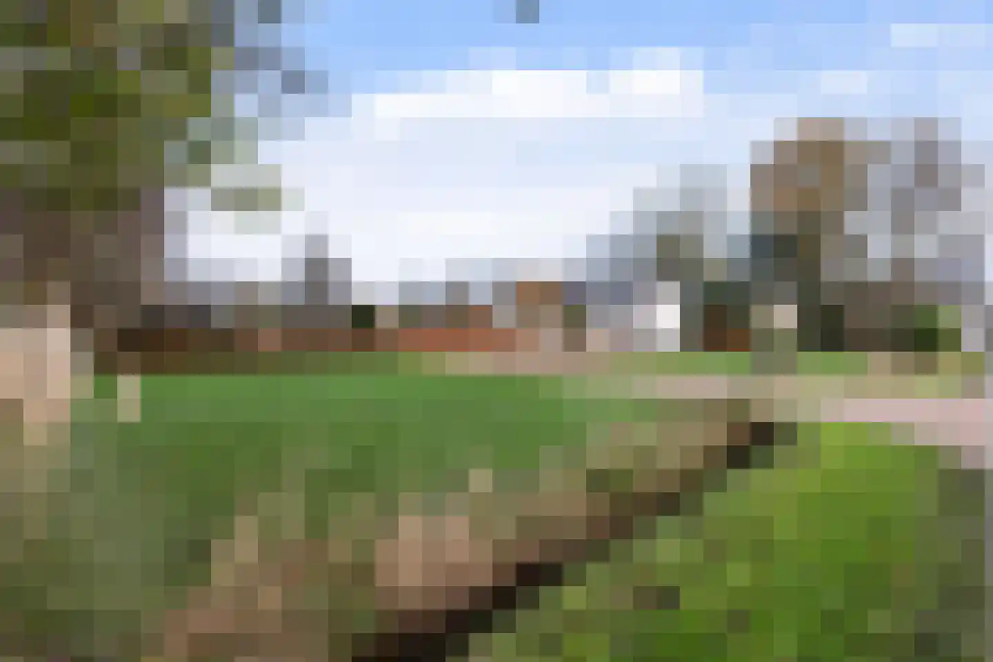 Kraaienjagersweg 16 Beemte Broekland thumbnail 79