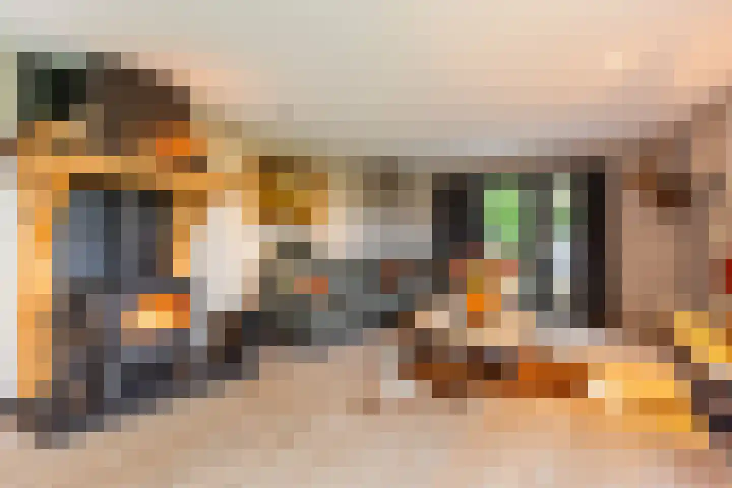 Kraaienjagersweg 16 Beemte Broekland thumbnail 8