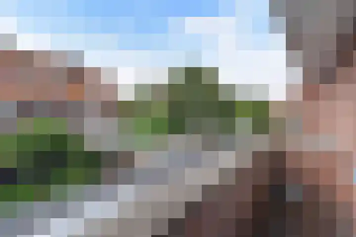 Kraaienlaan 28 Den Haag thumbnail 64