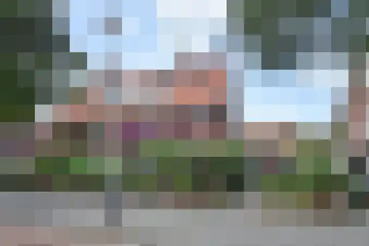 Kraaienlaan 28 Den Haag thumbnail 85