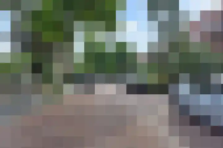 Kraaienlaan 28 Den Haag thumbnail 87