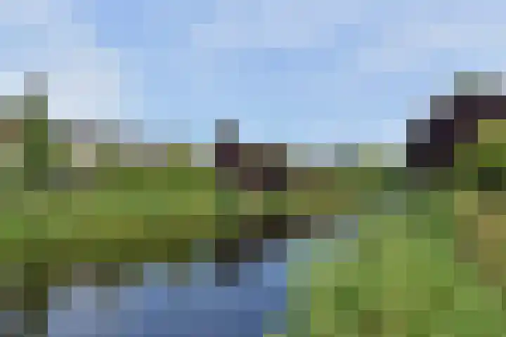 Kraaienlaan 28 Den Haag thumbnail 89