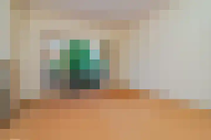 Kraaienlaan 5 Den Haag thumbnail 18