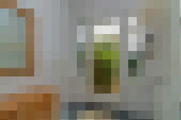 Kraaienlaan 5 Den Haag thumbnail 35
