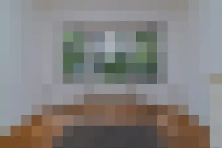 Kraaienlaan 5 Den Haag thumbnail 6