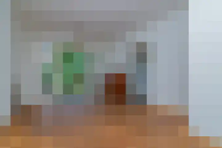 Kraaienlaan 5 Den Haag thumbnail 7