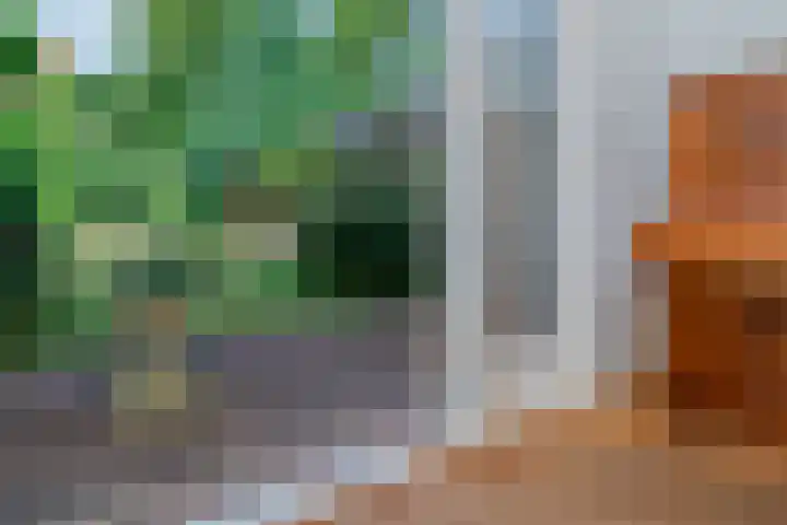 Kraaienlaan 5 Den Haag thumbnail 8