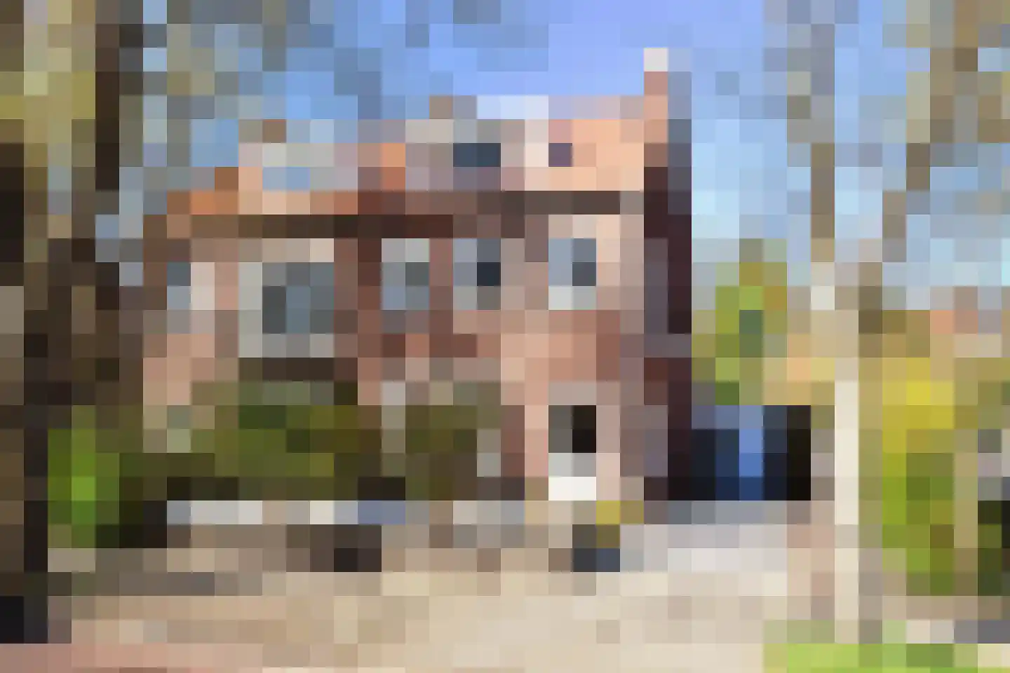 Kraaienlaan 61 en Den Haag