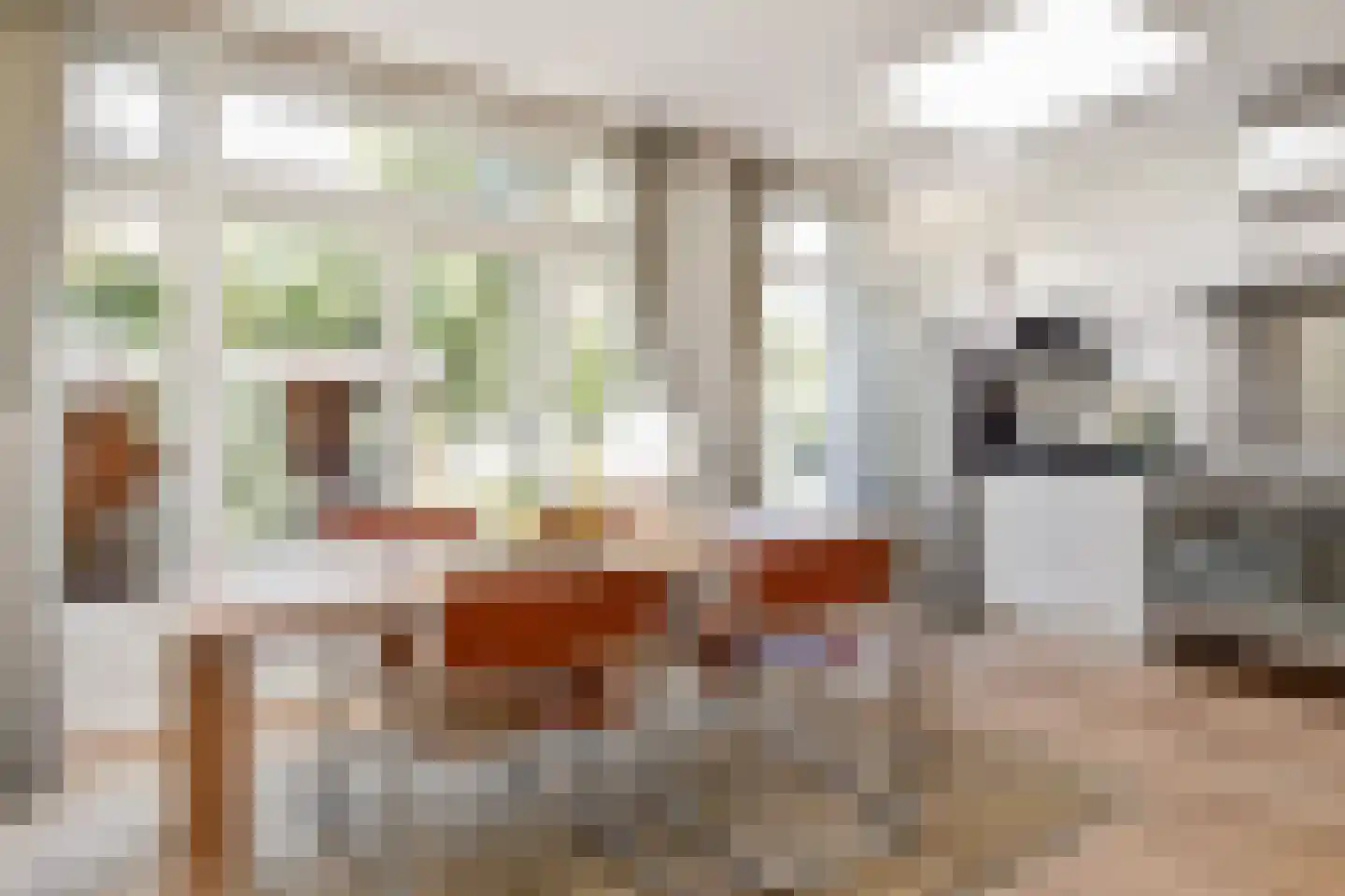 Kraaienlaan 61 Den Haag thumbnail 12