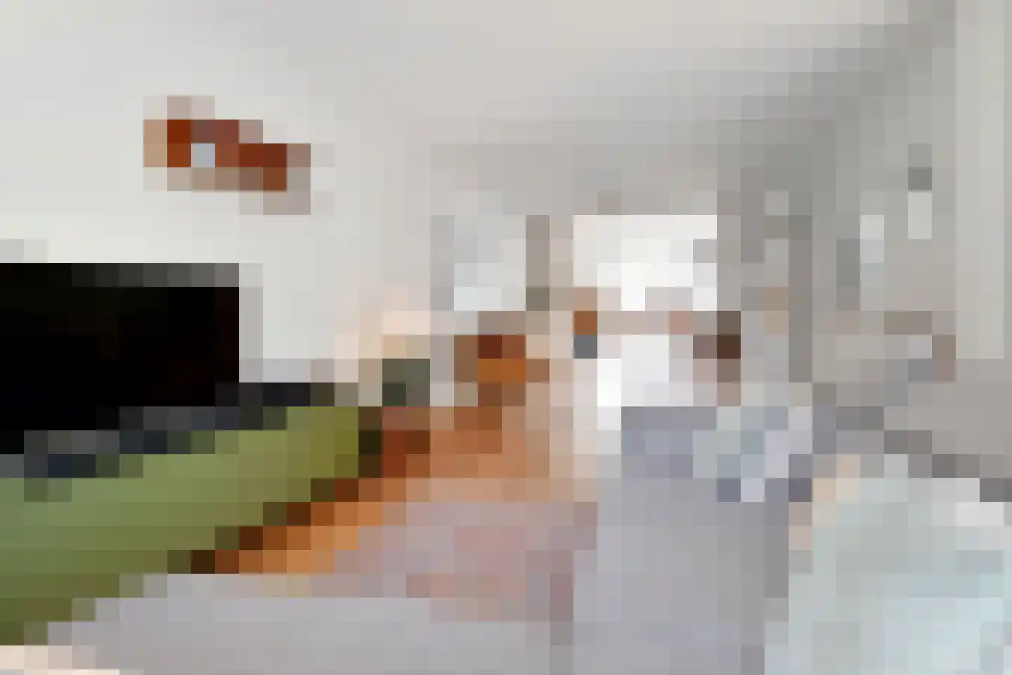 Kraaienlaan 61 Den Haag thumbnail 7