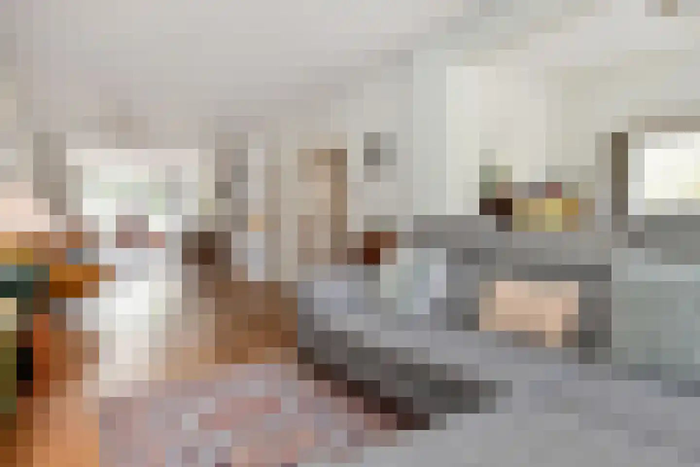 Kraaienlaan 61 Den Haag thumbnail 8