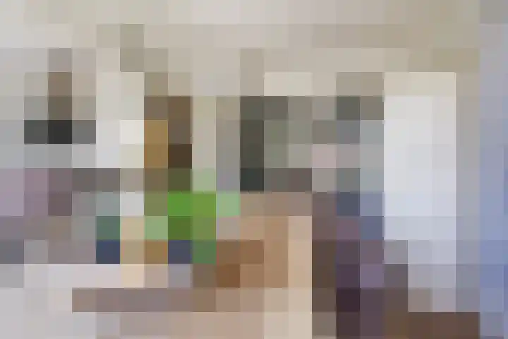 Kraaienlaan 62 A Den Haag thumbnail 14