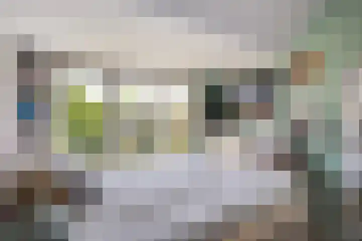 Kraaienlaan 62 A Den Haag thumbnail 31