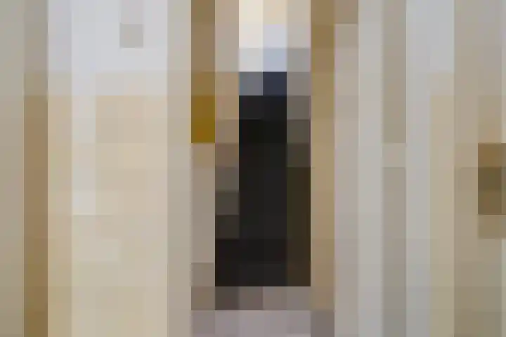 Kraaienlaan 62 A Den Haag thumbnail 6