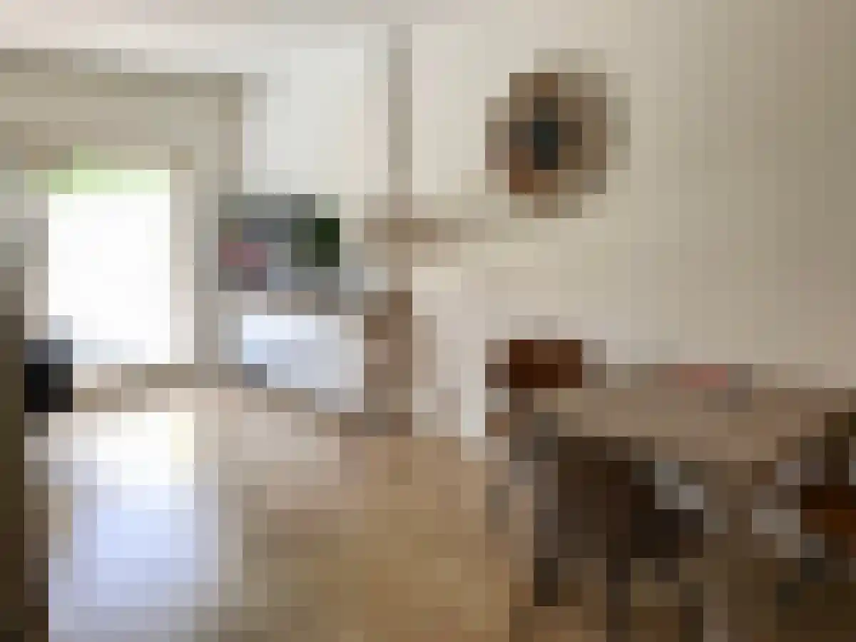 Kraaienlaan 71 Den Haag thumbnail 6