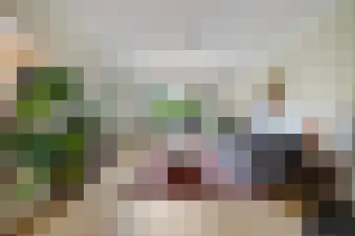 Kraaienlaan 84 Den Haag thumbnail 11