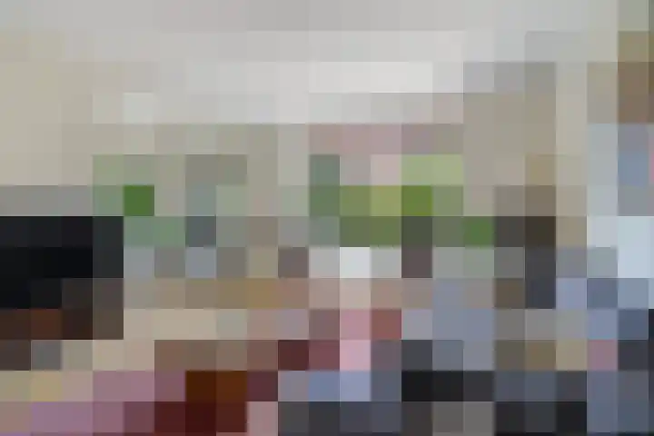 Kraaienlaan 84 Den Haag thumbnail 12