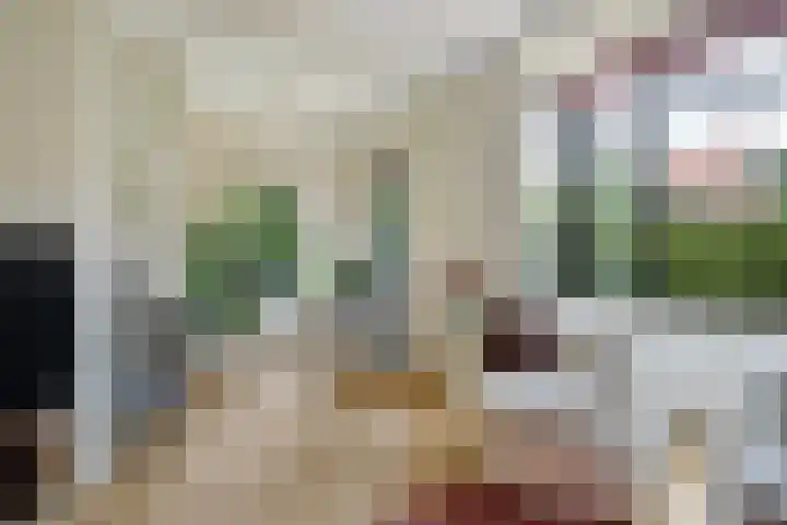 Kraaienlaan 84 Den Haag thumbnail 13