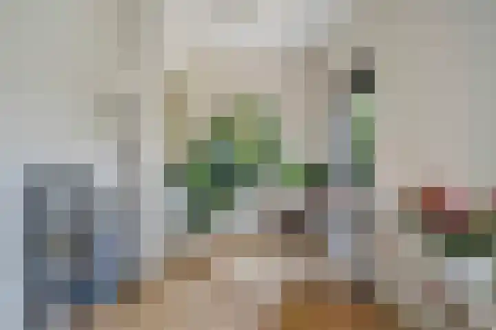 Kraaienlaan 84 Den Haag thumbnail 14