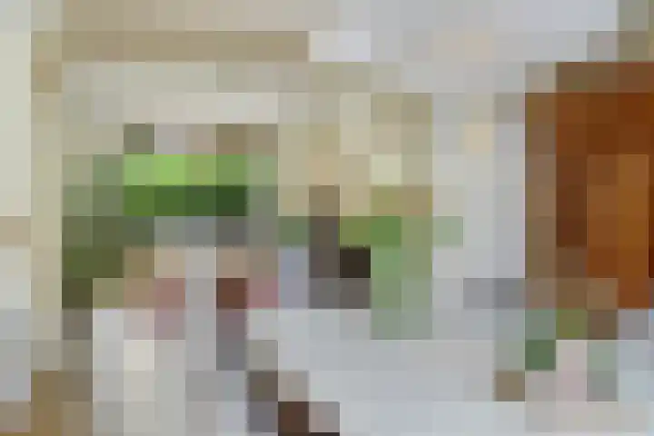 Kraaienlaan 84 Den Haag thumbnail 19