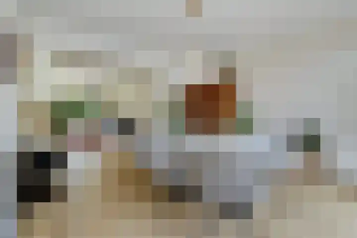 Kraaienlaan 84 Den Haag thumbnail 20