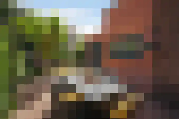 Kraaienlaan 84 Den Haag thumbnail 23
