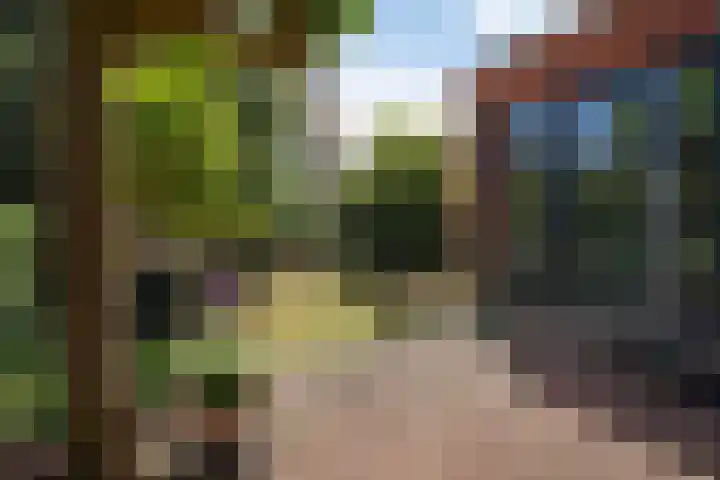 Kraaienlaan 84 Den Haag thumbnail 25
