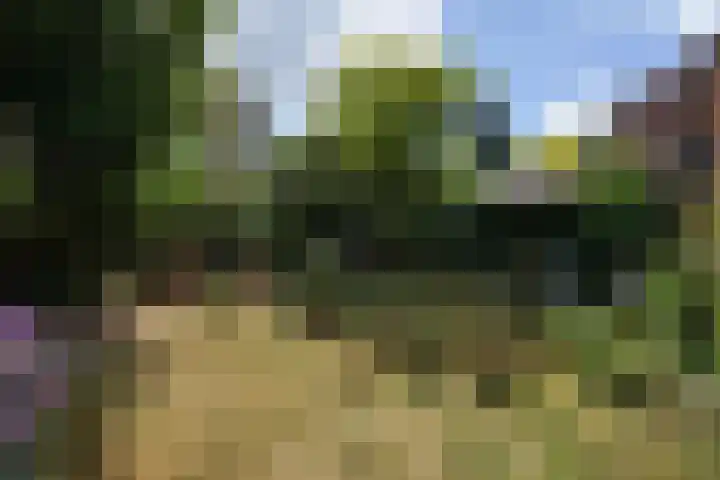 Kraaienlaan 84 Den Haag thumbnail 28