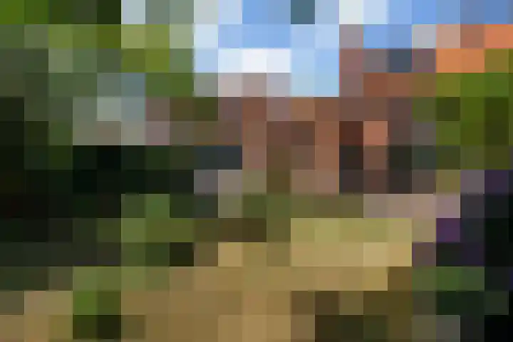 Kraaienlaan 84 Den Haag thumbnail 29