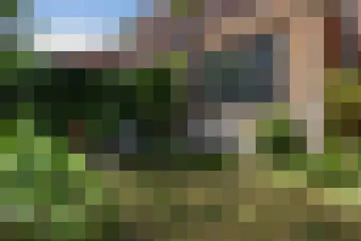 Kraaienlaan 84 Den Haag thumbnail 31
