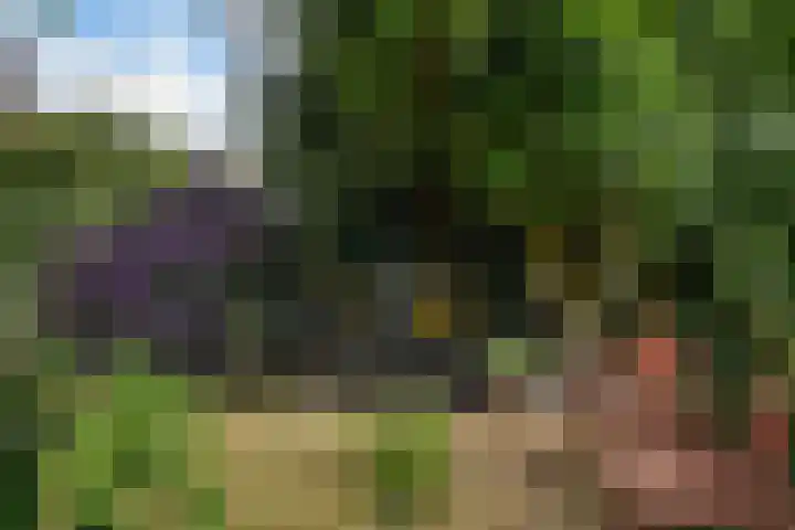 Kraaienlaan 84 Den Haag thumbnail 32