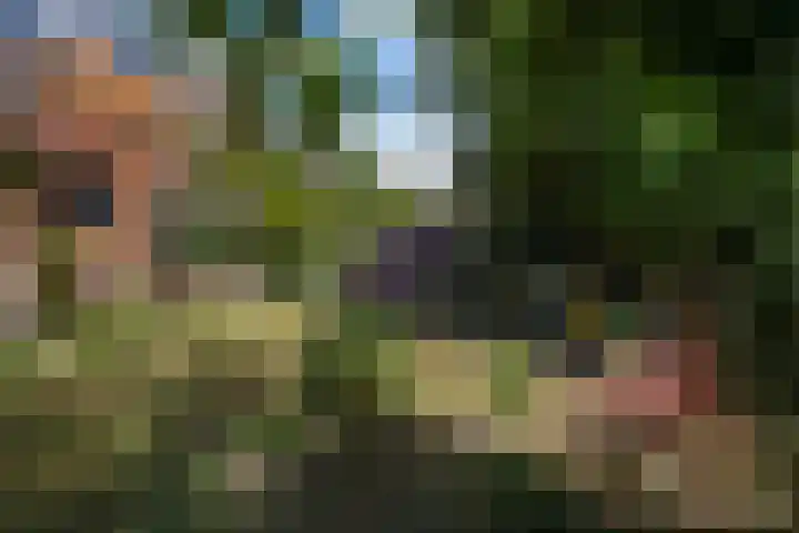 Kraaienlaan 84 Den Haag thumbnail 33