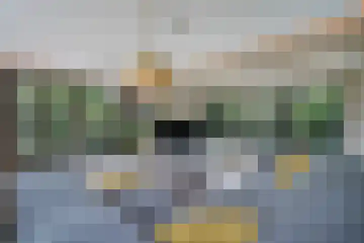 Kraaienlaan 84 Den Haag thumbnail 34