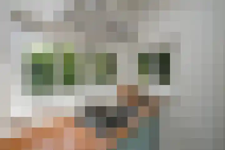 Kraaienlaan 84 Den Haag thumbnail 39