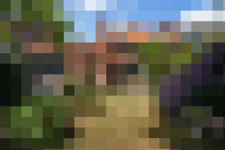 Kraaienlaan 84 Den Haag thumbnail 4