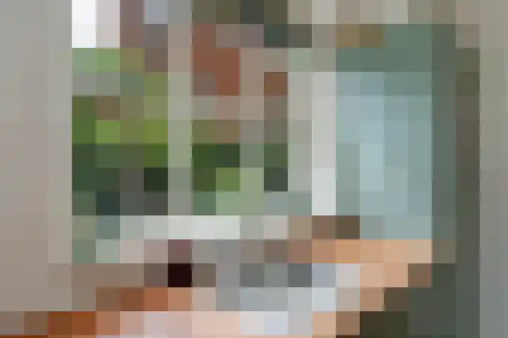 Kraaienlaan 84 Den Haag thumbnail 41