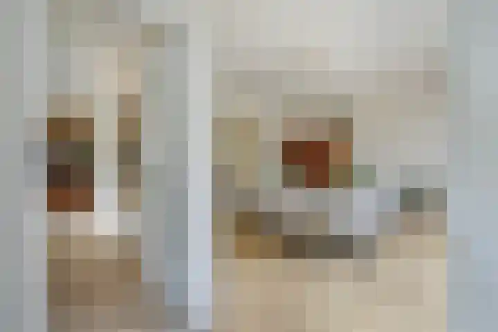 Kraaienlaan 84 Den Haag thumbnail 42