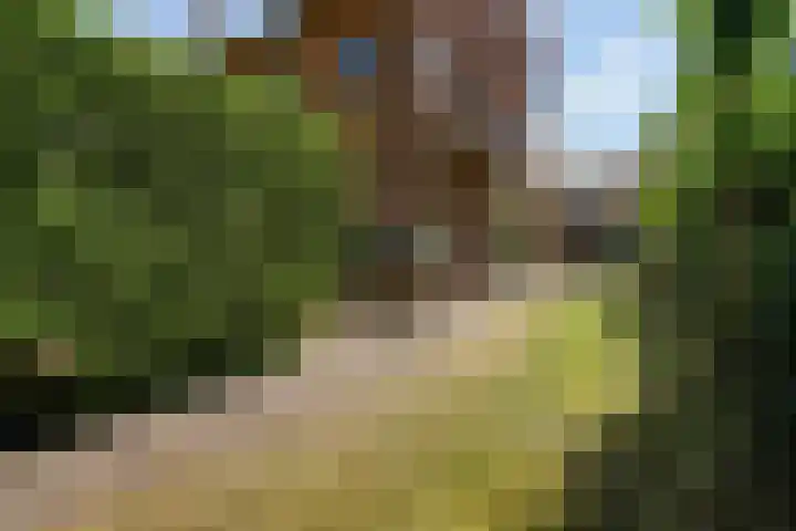 Kraaienlaan 84 Den Haag thumbnail 5