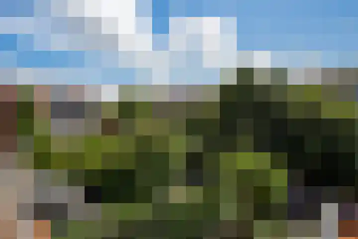 Kraaienlaan 84 Den Haag thumbnail 56