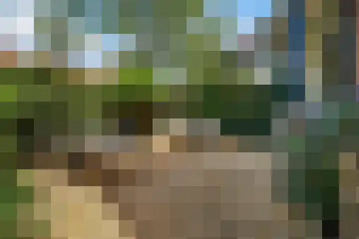 Kraaienlaan 84 Den Haag thumbnail 6
