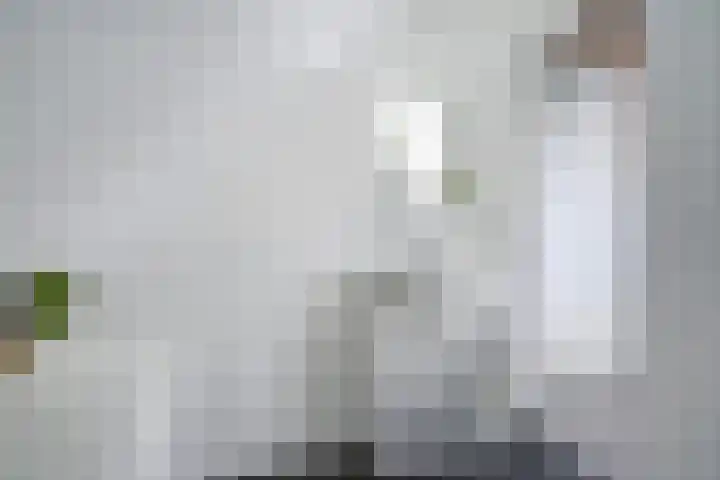 Kraaienlaan 84 Den Haag thumbnail 69