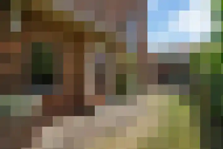 Kraaienlaan 84 Den Haag thumbnail 7