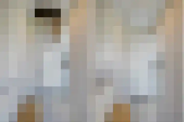 Kraaienlaan 84 Den Haag thumbnail 71