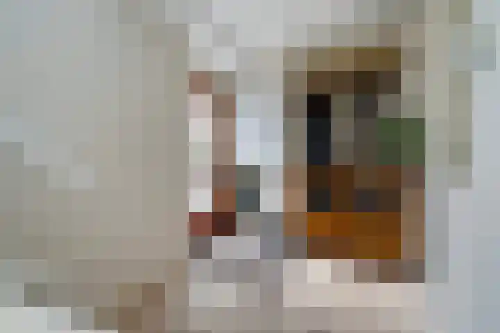 Kraaienlaan 84 Den Haag thumbnail 74