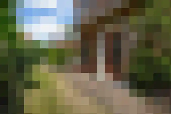 Kraaienlaan 84 Den Haag thumbnail 75