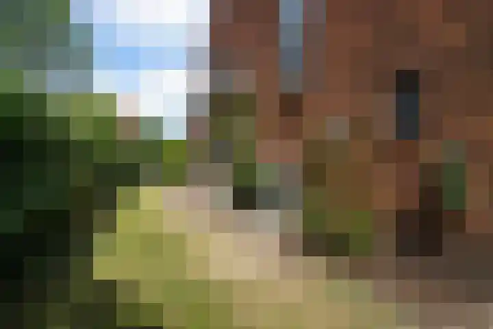 Kraaienlaan 84 Den Haag thumbnail 77